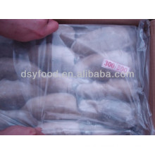 High Quality Whole Round BQF Frozen Cuttlefish